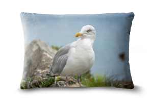 Seagull 19in x 13in Oblong Throw Cushion