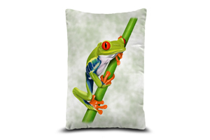 Red-Eyed Tree Frog 13in x 19in Oblong Throw Cushion