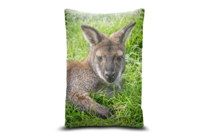 Wallaby 13in x 19in Oblong Throw Cushion