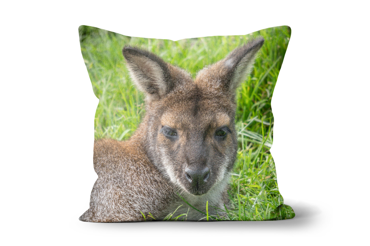 Wallaby 18in x 18in Throw Cushion